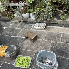 龙姐私房菜 User Photo