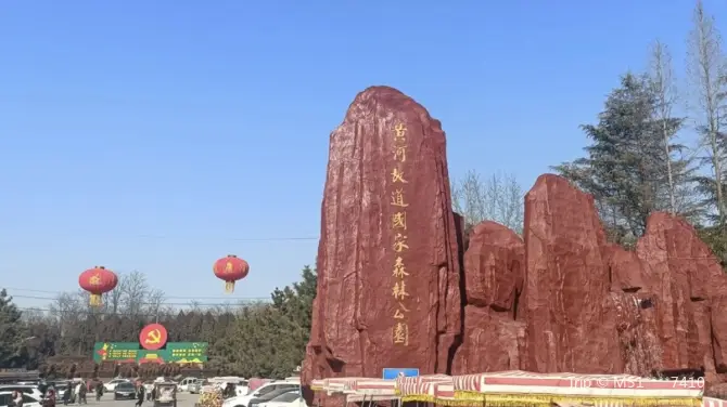 夏津黃河故道森林公園