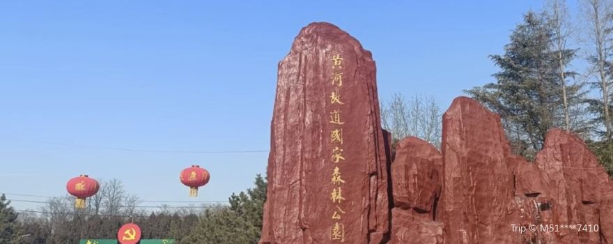 Xiajin Yellow River Forest Park