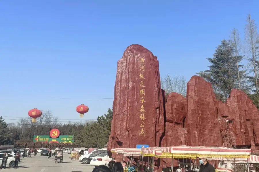 夏津黃河故道森林公園