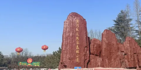 夏津黃河故道森林公園