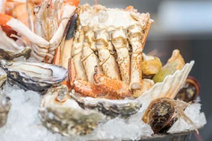 L'Ecaille de la Mascotte