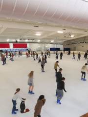 Iceworld Olympic Ice Rinks