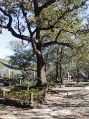 tourist attractions in nuevo leon mexico Chipinque A.B.P. Ecological Park