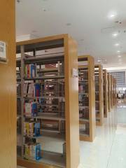 Xinjiangdangxiao Library