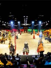 Medieval Times