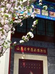 Shandongsheng Zhongyiyao Museum