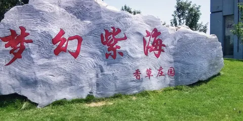 北京夢幻紫海香草莊園
