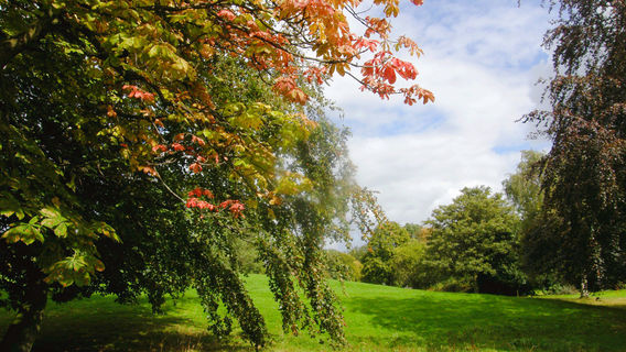 Centro Recreativo Bosque de la Hoja