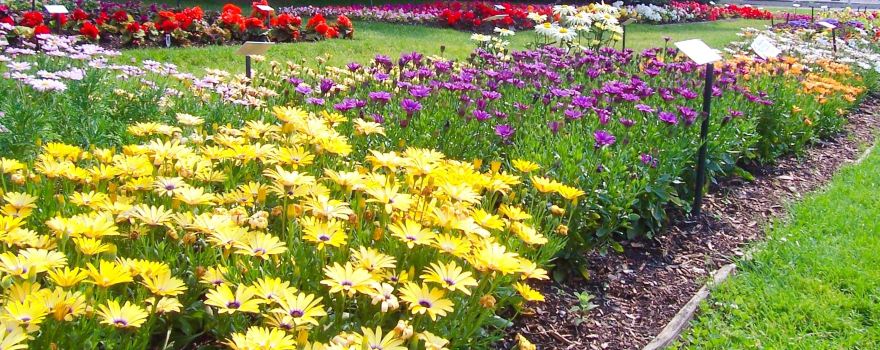 Portsmouth City Park