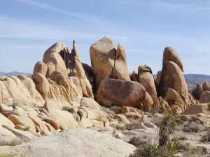Skull Rock Trail