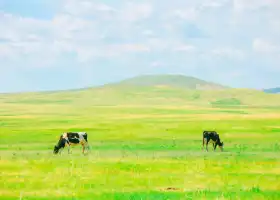呼倫湖