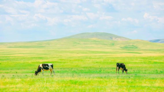 Hulunbuir