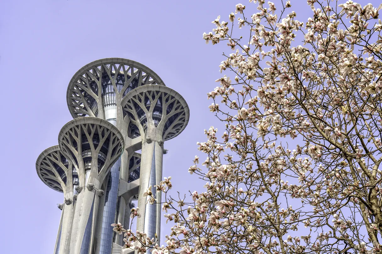 5_奧林匹克森林公園