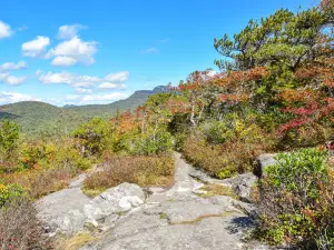 Flat Rock Trailhead