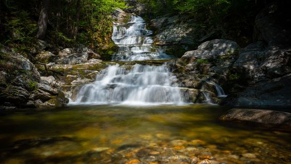 Winniweta Falls Trailhead