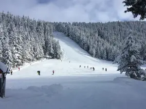 Malyovitsa Ski