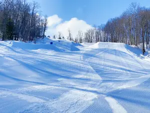 Marquette Mountain Resort