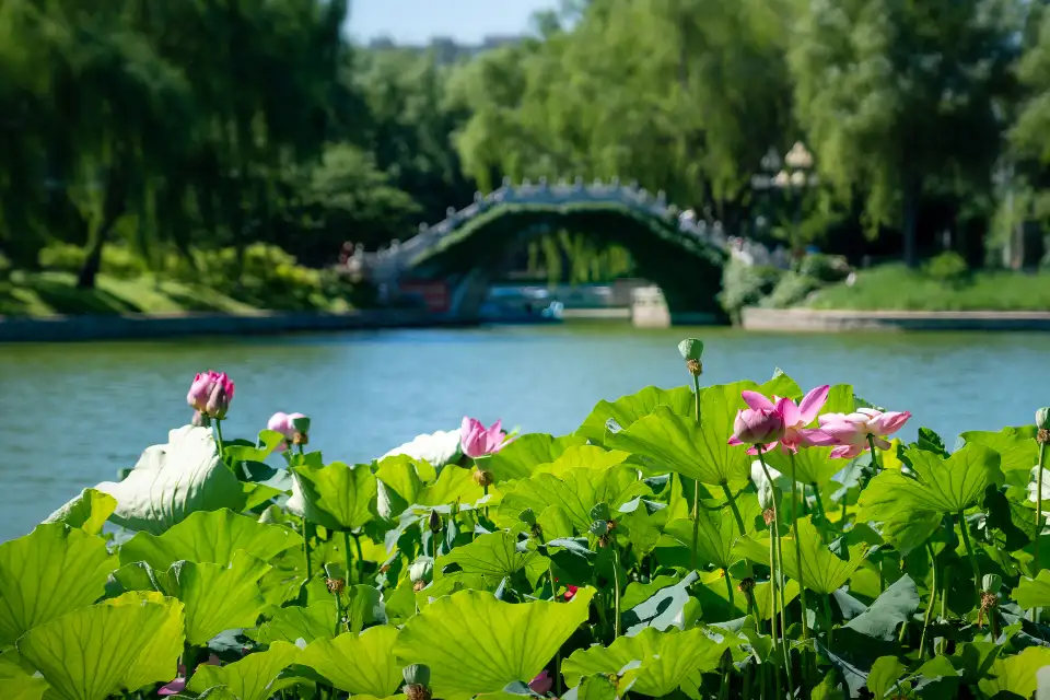4_Taoranting Park