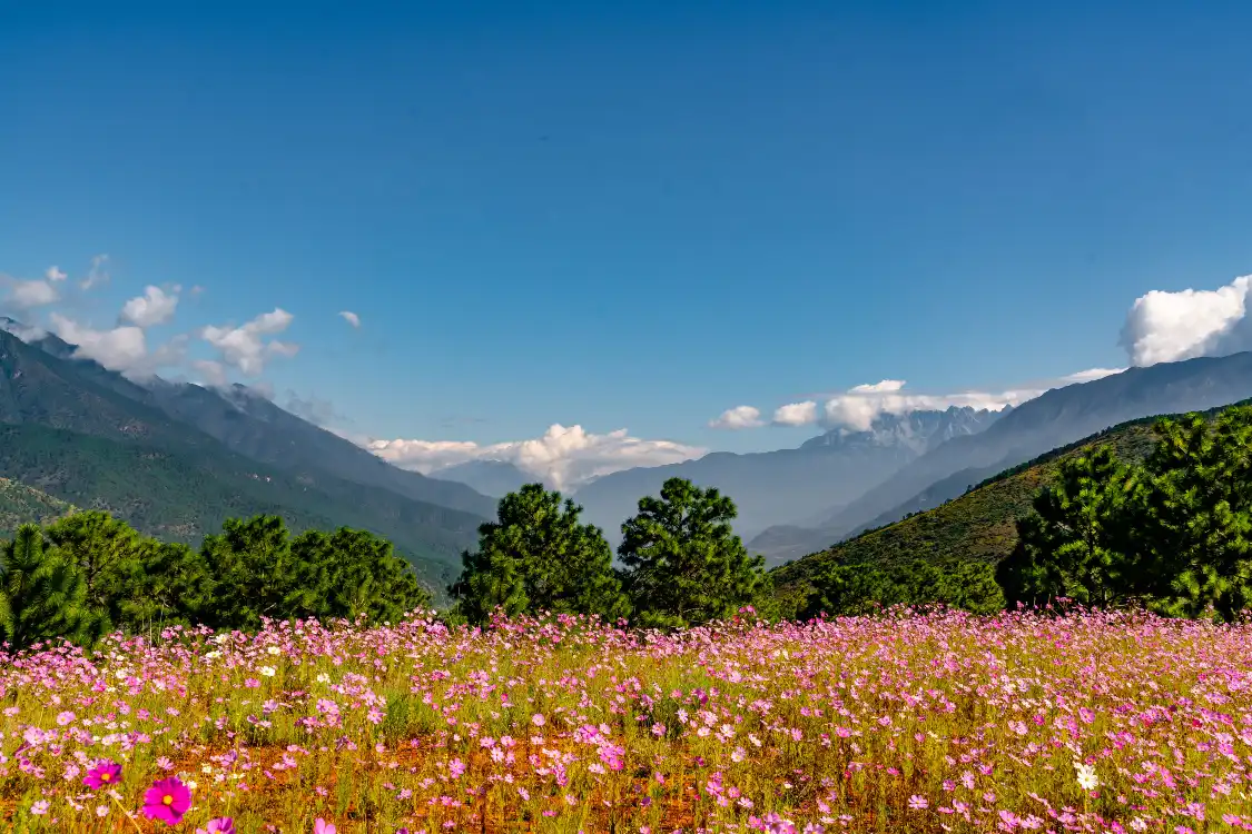 꽃바다(화해) 주변 호텔