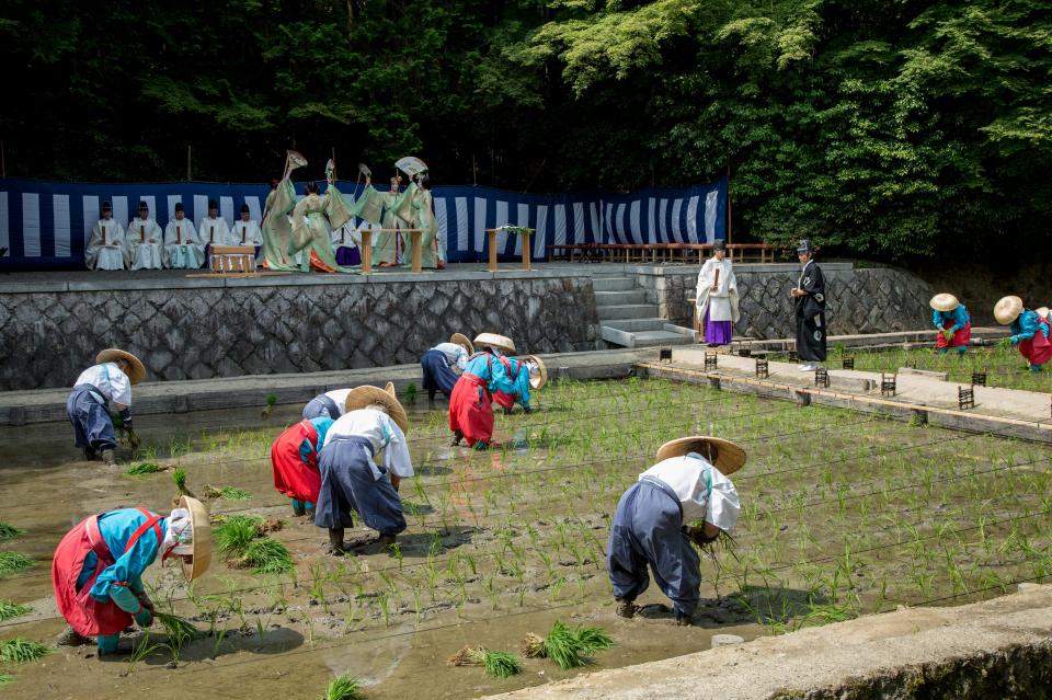 Fushimi Inari Taisha Rice Planting Festival | Kyoto