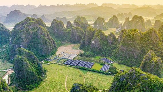 Yingxi Peak Forest Corridor