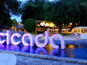 ซิเคด้า มาร์เก็ต