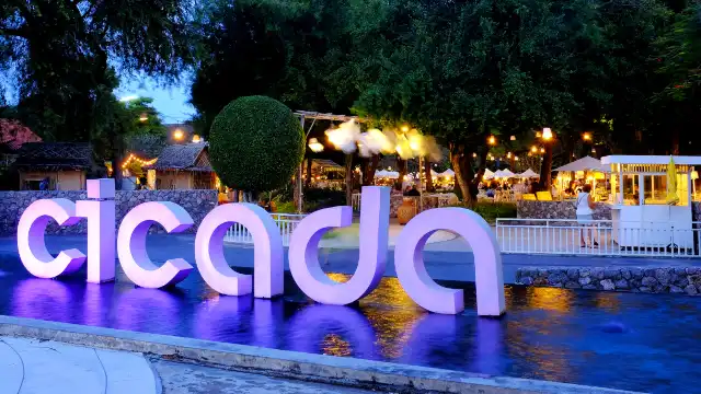 Hotels near Cicada Market