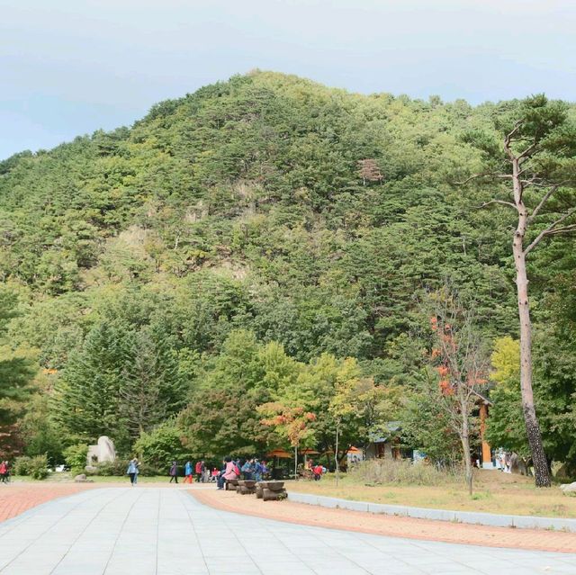 Mt. Seoraksan