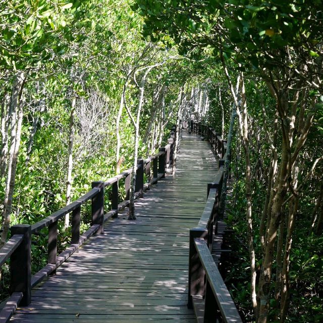 ป่าชายเลน วนอุทยานปราณบุรี