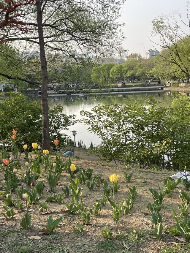 데이트하기 좋은 '서울숲'