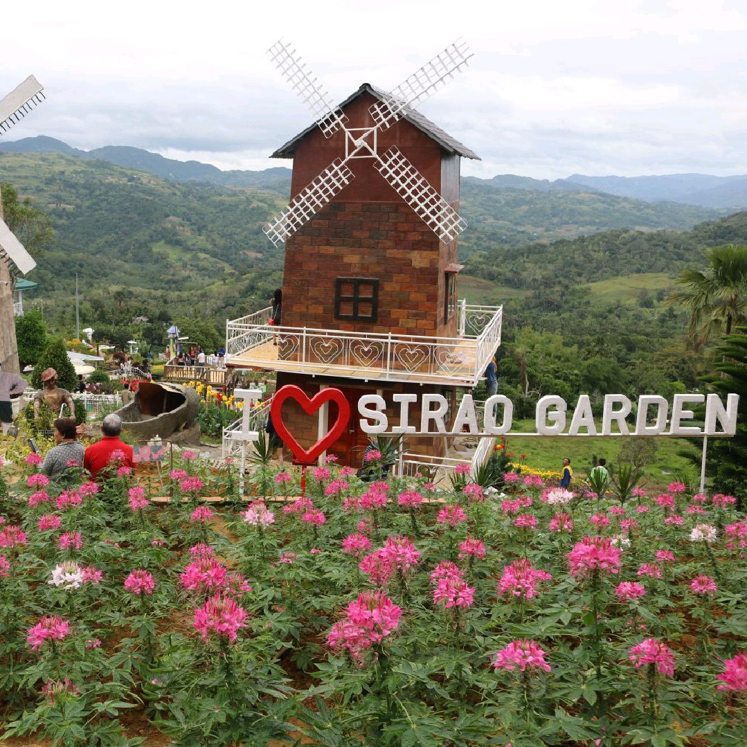 Flower Farm Cebu City Best Flower Site