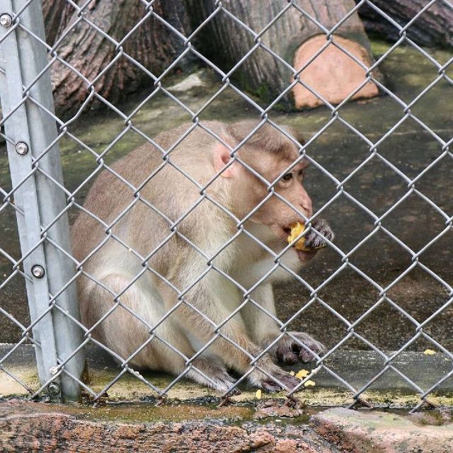 Zoo Johor