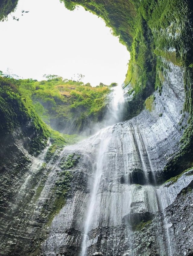 Swim away in the waterfall 