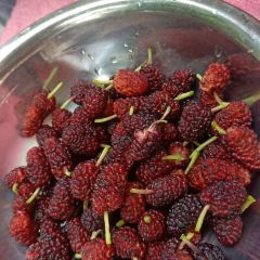 大丰收农家园 User Photo