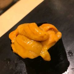 Sushi Hashimoto User Photo