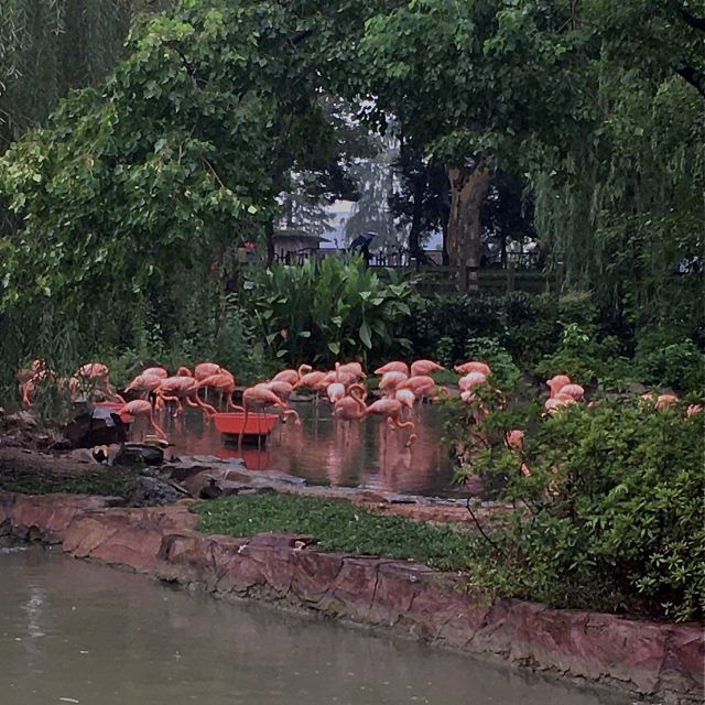 武漢動物園