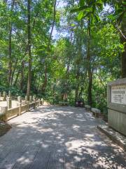 The Cemetery of the Officers and Soldiers Who Died in Hubei during the 1911 Wuchang Uprising and the 1916 Nation Protection War