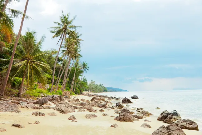 Flüge Koh Samui Moskau