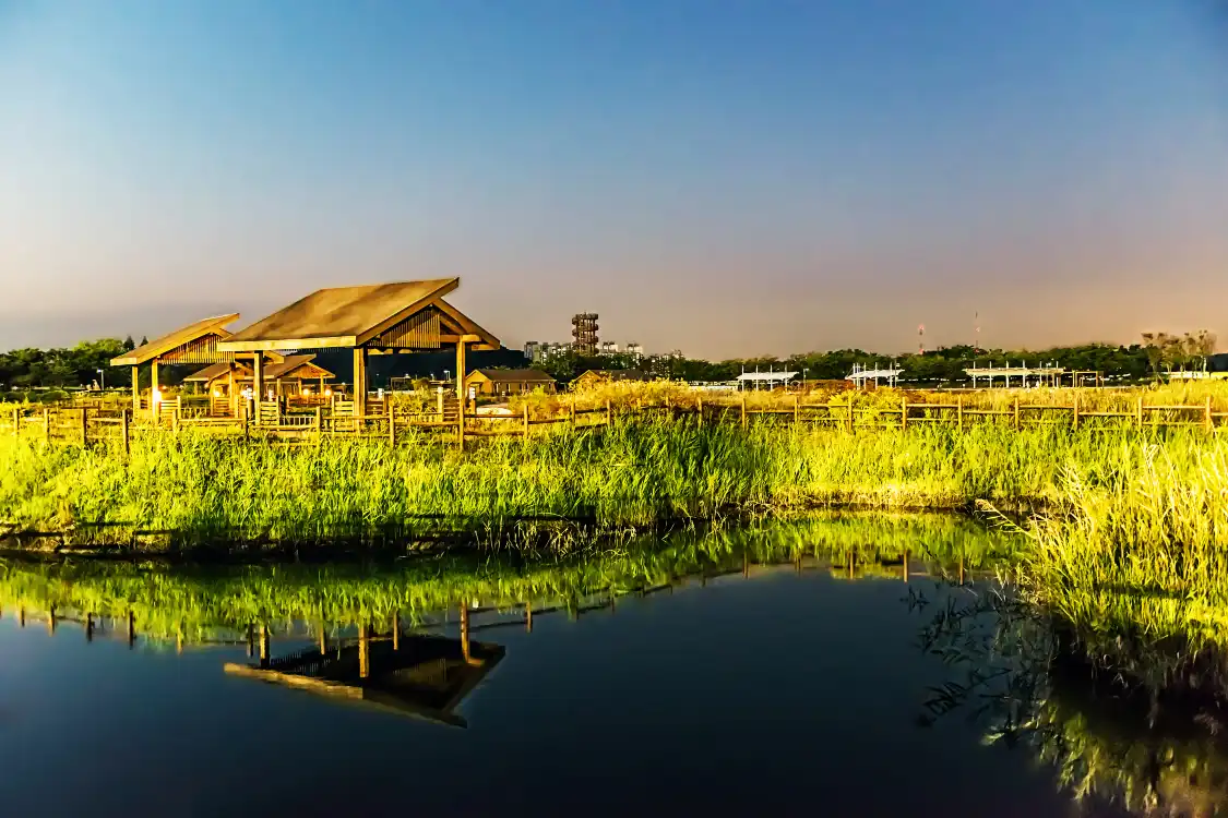 河溝生態公園附近的飯店