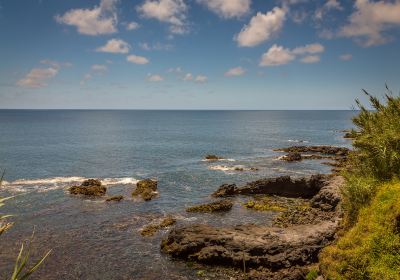 Napili Beach