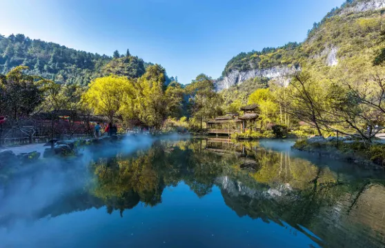 酉陽桃花源門票優待（小童／長者／學生）