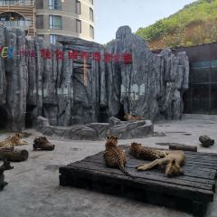 太湖龙之梦雅仕酒店·ADD全日制餐厅 User Photo