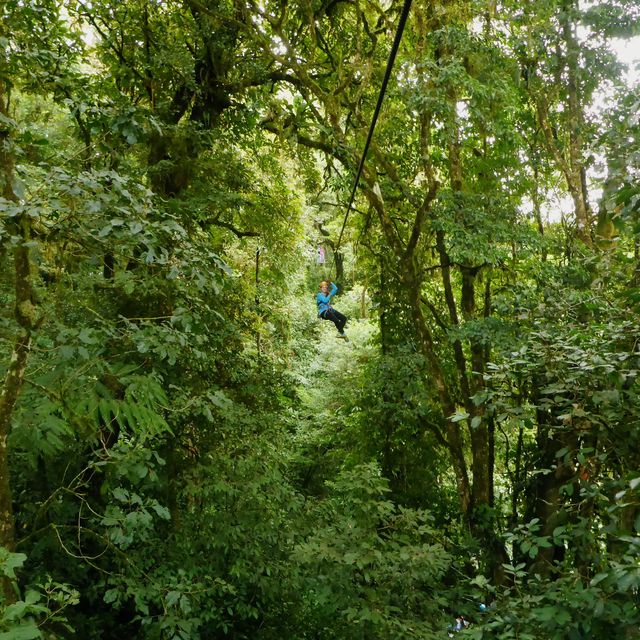 Best canopy in Costa Rica: Monteverde 