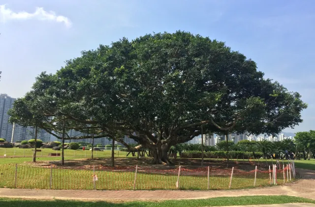 【2026寵物公園】12個狗公園推薦！全港室內外寵物好去處  