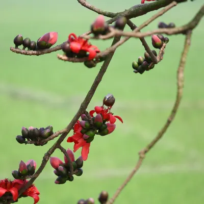 鄰近এসআর পোল্ট্রি ফিড的酒店