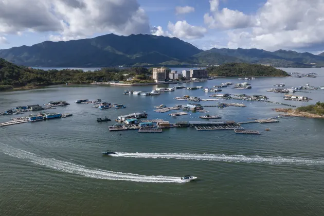 漢莎航空 飛 惠州