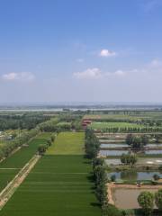 Mengjinhuanghe Wetland