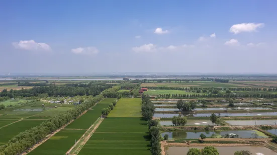 Mengjinhuanghe Wetland