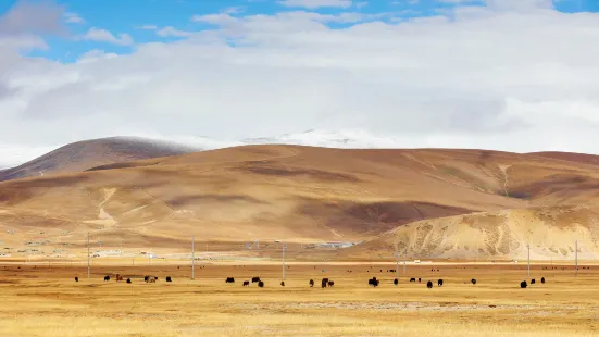 Pali Grassland